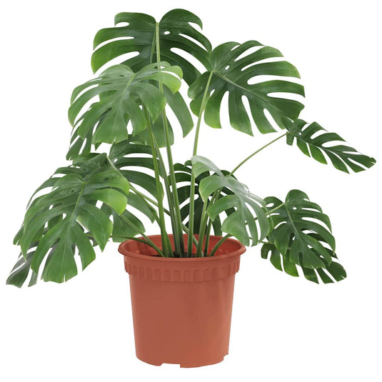 Vidaxl ronde bloempot 24 pcs baksteenrood ø 15 x 12 cm kunststof