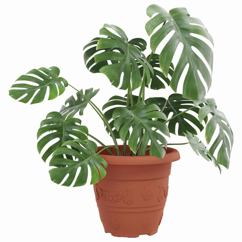 Load image into Gallery viewer, Vidaxl ronde bloempot 6 pcs baksteenrood ø 26 x 21.5 cm kunststof
