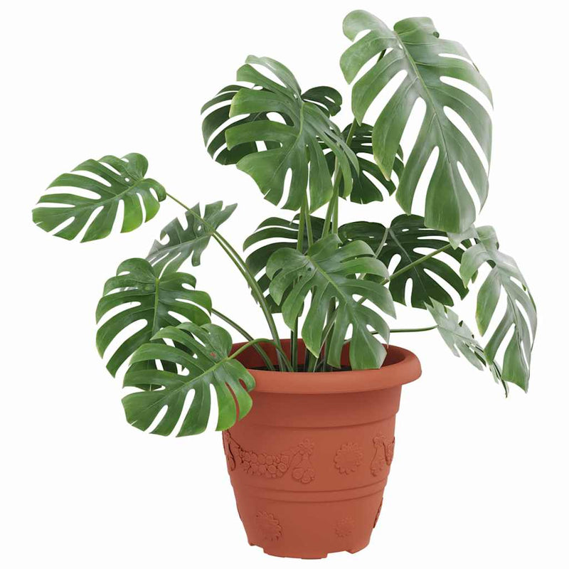 Load image into Gallery viewer, Vidaxl ronde bloempot 24 pcs baksteenrood ø 26 x 21.5 cm kunststof

