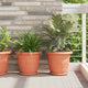 Vidaxl ronde bloemenschalen 6 pcs baksteenrood ø 23,5 x 2,5 cm