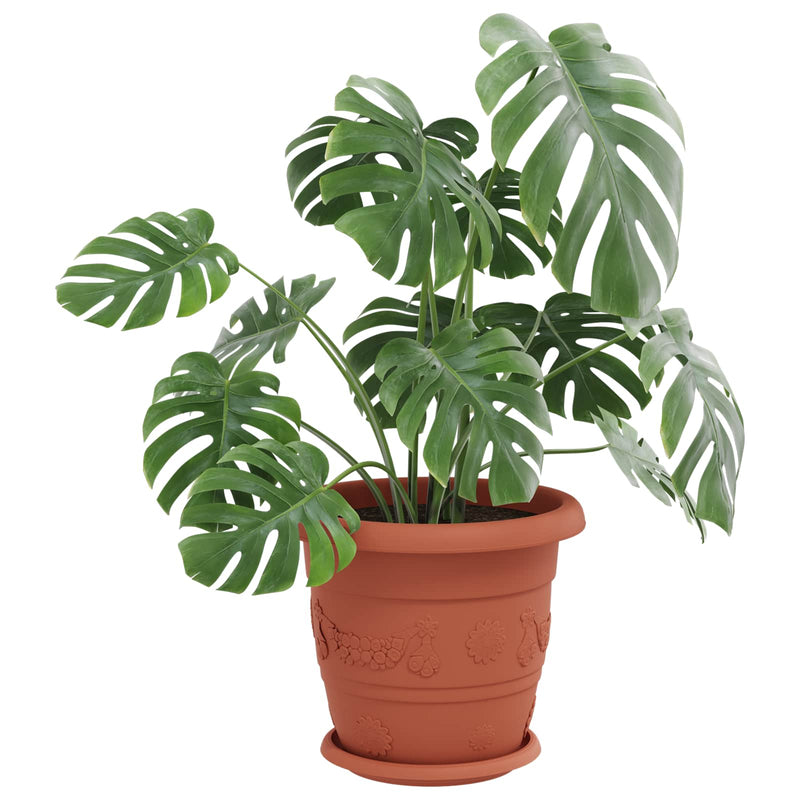 Load image into Gallery viewer, Vidaxl plantenpotten 24 pcs baksteenrood ø 26 x 21.5 cm kunststof
