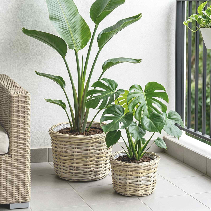 Load image into Gallery viewer, Vidaxl bloempot mand gendt 2 st natuurlijk grijs kubu rattan
