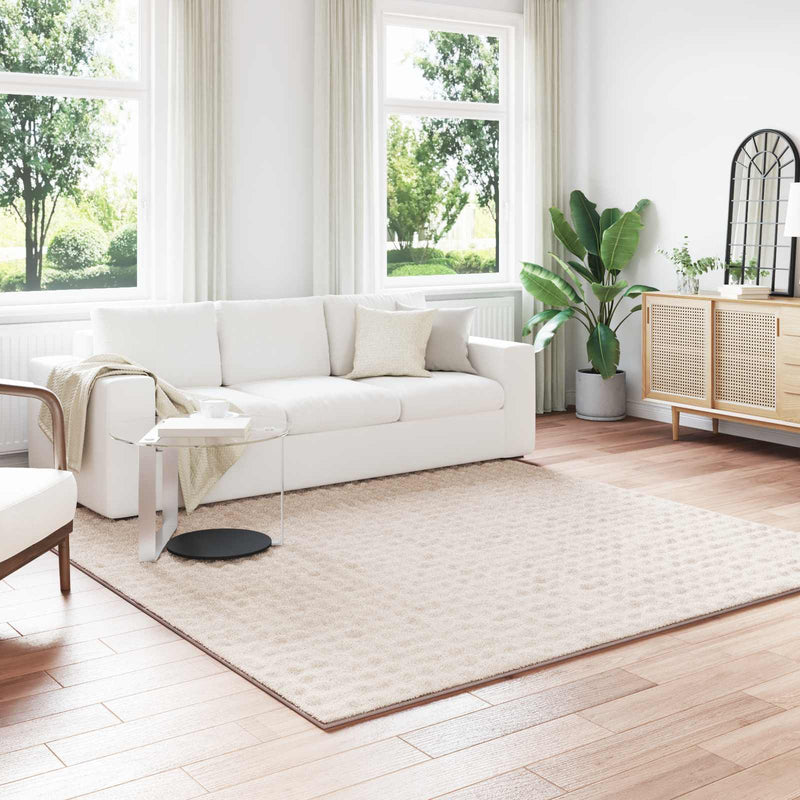 Load image into Gallery viewer, Vidaxl vloerkleden vierkant huarte beige 240 x 240 cm polyester
