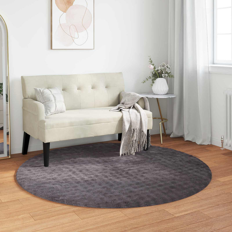 Load image into Gallery viewer, Vidaxl vloerkleden rond huarte antraciet ø 120 cm polyester
