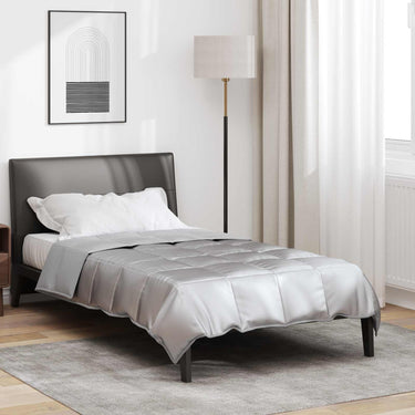 Vidaxl vol jaar dekbed zilver 220 x 135 cm satijn en microfiber