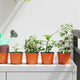 Vidaxl bloempot 50 pcs terracotta ø 15 x 12.5 cm kunststof