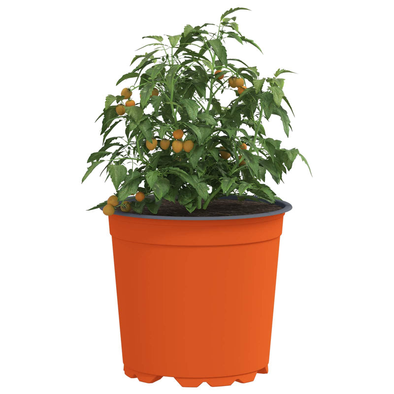 Load image into Gallery viewer, Vidaxl bloempot 200 pcs terracotta ø 15 x 13 cm kunststof
