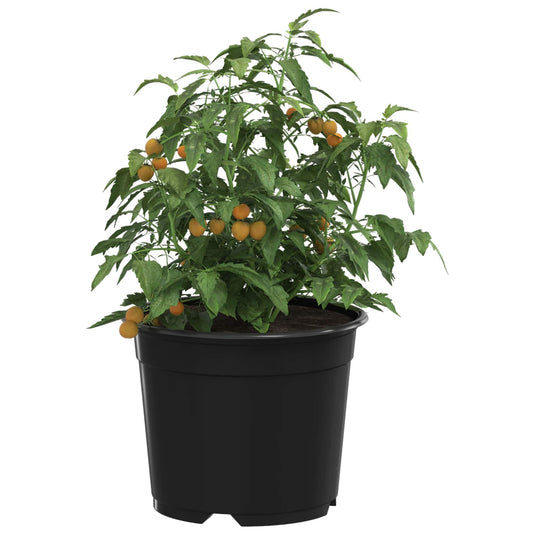 Vidaxl bloempot 50 pcs zwart ø 15 x 12.5 cm kunststof