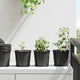 Vidaxl bloempot 200 pcs zwart ø 15 x 13 cm kunststof