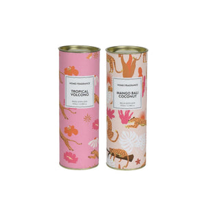 Decoris diffuser glas in koker 100ml ø6,5xh18,5cm 2 assorti