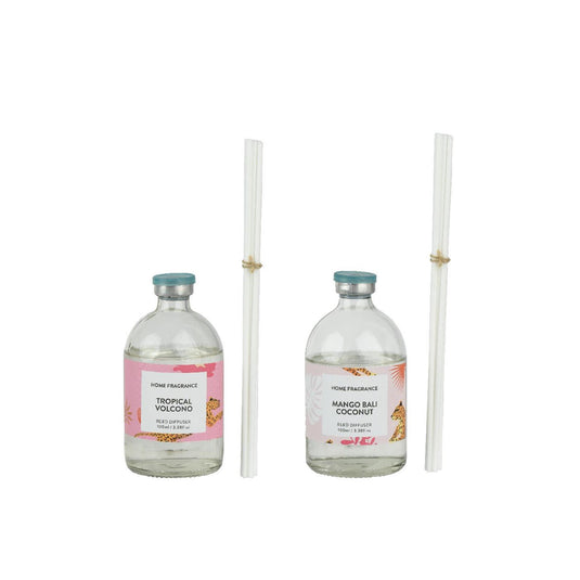 Decoris diffuser glas in koker 100ml ø6,5xh18,5cm 2 assorti