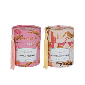 Decoris geurkaars in doos ø8,5xh10,5cm 2 assorti