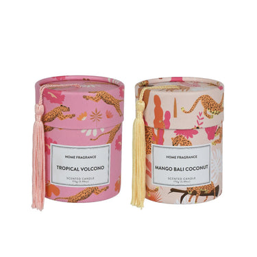 Decoris geurkaars in doos ã˜8,5xh10,5cm 2 assorti