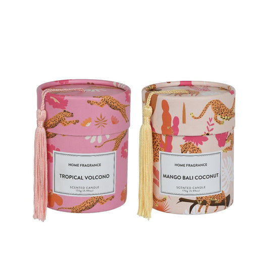 Decoris geurkaars in doos ø8,5xh10,5cm 2 assorti