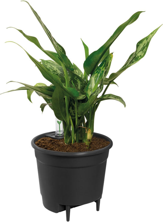 Elho self-watering insert 15 - watermeter voor bloempot - ø 14.9 x h 13.68 cm - living black
