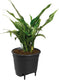 Elho self-watering insert 15 - watermeter voor bloempot - ø 14.9 x h 13.68 cm - living black