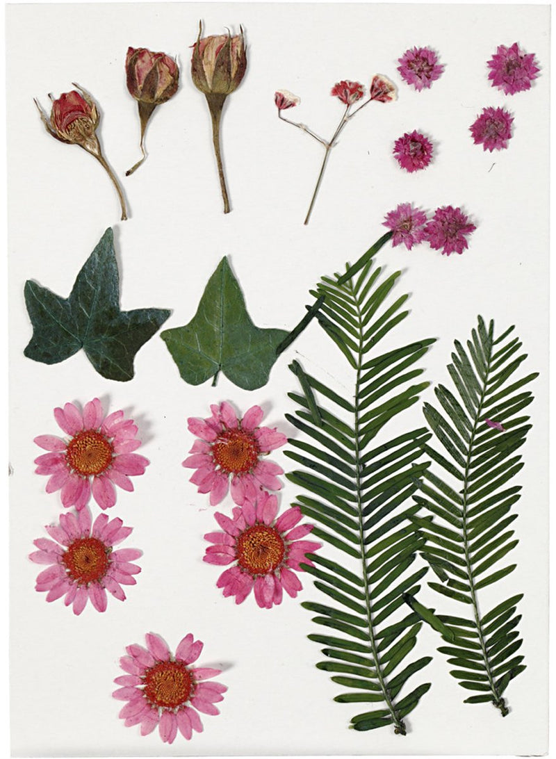 Load image into Gallery viewer, Creativ company gedroogde bloemen en bladeren lichtrood, 19dlg.
