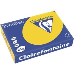 Gekleurd papier clairefontaine a4 80 g m² goud, geel 500 vellen