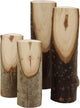 Creativ company decoratieve boomstam divers, 4st.
