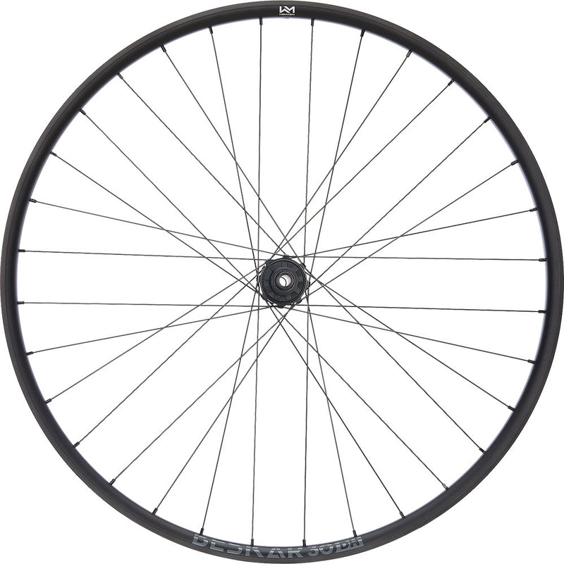 Load image into Gallery viewer, Newmen beskar 30 dh race 29 6-bolt 12x148 fade rear wheel
