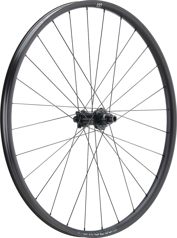 Load image into Gallery viewer, Newmen forge 30 light xc 29 6-bolt 12x148 fade rear wheel
