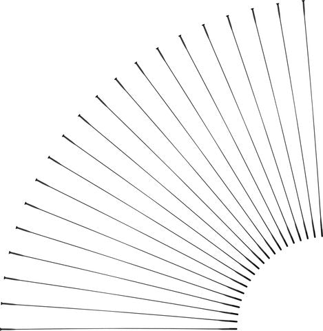 Load image into Gallery viewer, Sapim cx-ray straight pull spokes + nipples - 20-pack
