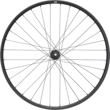 Newmen forge 30 dh 29 6-bolt 12x148 fade rear wheel