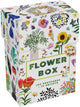 Princeton architectural press flower box - 100 postcards by 10 artists - 12 x 17 cm