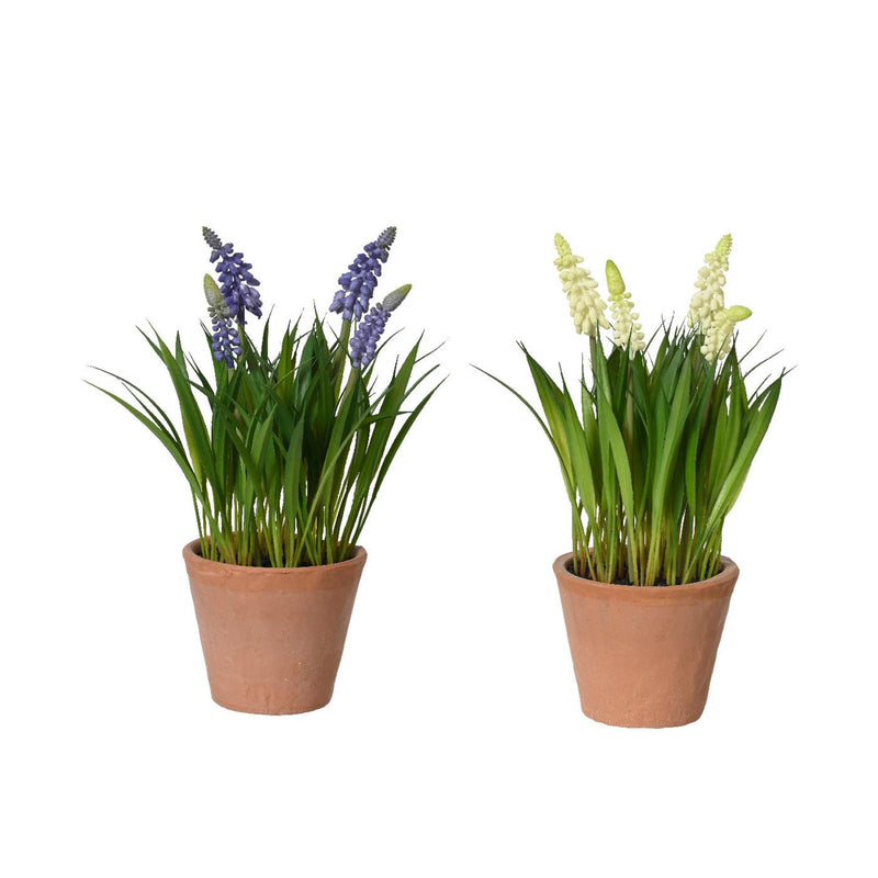 Afbeelding laden in galerijviewer, Decoris kunstplant druifjes in pot ã˜11xh26cm 2 assorti
