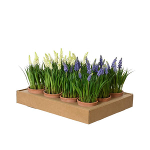 Decoris kunstplant druifjes in pot ø11xh26cm 2 assorti