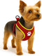 Flamingo harnas hond – honden tuigje – harnas hond anti trek – hondentuigjes – hondentuig anti trek – step go tasha – rood – maat xs – a:45cm b:45-50cm x 12mm x 5mm