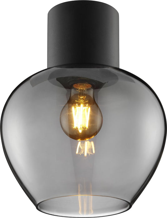 Brilliant ligari - plafondlamp - ø 23 cm - e27 max 1x20w - zwart smoke