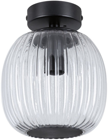 Paulmann led-plafondlamp ruya ip44 e14 230v max. 20w dimbaar glas, zwart mat