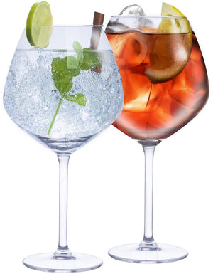 Alpina gin tonic glazenset 4-delig 730ml