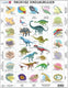Larsen kenmerken van de dinosauriërs – puzzel – dieren – prehistorie – educatieve legpuzzel voor kinderen – 35 stukjes – gemaakt in noorwegen – extra dikke 2,5 mm stukjes – tray met vaste rand