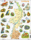 Larsen limburg met dieren – puzzel – kaarten geografie – nederland – educatieve legpuzzel voor kinderen – 60 stukjes – gemaakt in noorwegen – extra dikke 2,5 mm stukjes – tray met vaste rand
