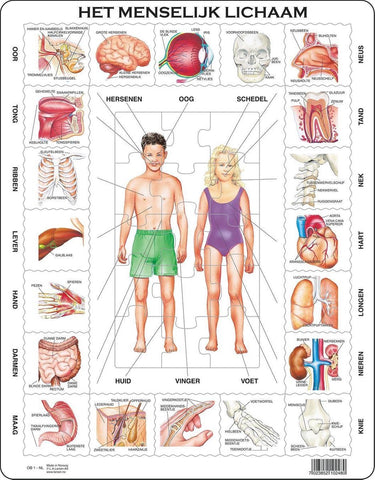 Larsen het menselijk lichaam – puzzel – educatief – anatomie – educatieve legpuzzel voor kinderen – 35 stukjes – gemaakt in noorwegen – extra dikke 2,5 mm stukjes – tray met vaste rand