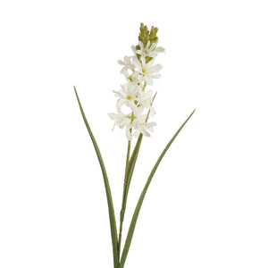 Roberts collection kunstbloem hyacint met gras crã¨me 70cm