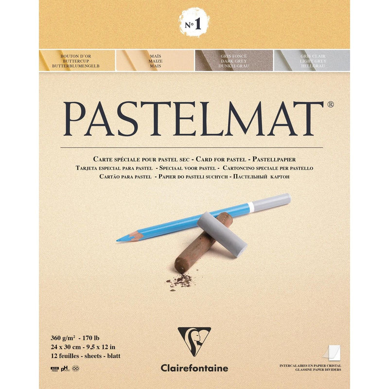 Load image into Gallery viewer, Clairefontaine • pastelmat papier nr1 360g 24x30cm assorti 12x
