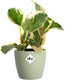 Elho brussels rond mini 10.5 - bloempot voor binnen - ø 11.0 x h 9.7 cm - sorbet groen