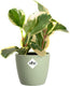 Elho brussels rond mini 10.5 - bloempot voor binnen - ø 11.0 x h 9.7 cm - sorbet groen