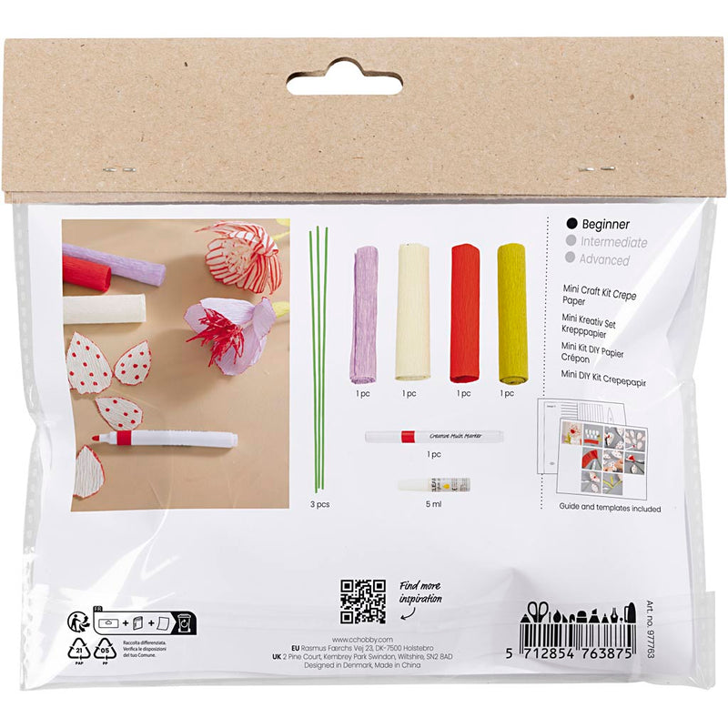 Load image into Gallery viewer, Creativ company https: www.cchobby.nl mini-hobbyset-crepepapier-bloemen-pastelkleuren-1-doos
