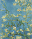 Peter pauper notitieboek - almond blossom - large 18,5x22,8cm - gelinieerd