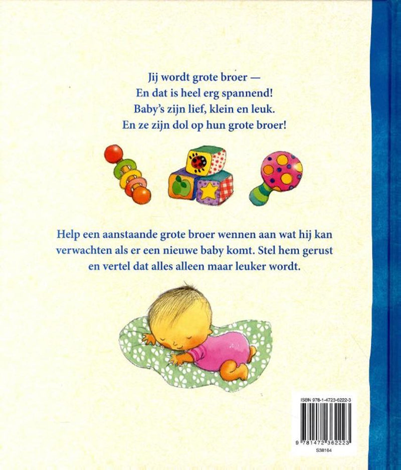 Load image into Gallery viewer, Rebo publishers ik ben je grote broer. 3+
