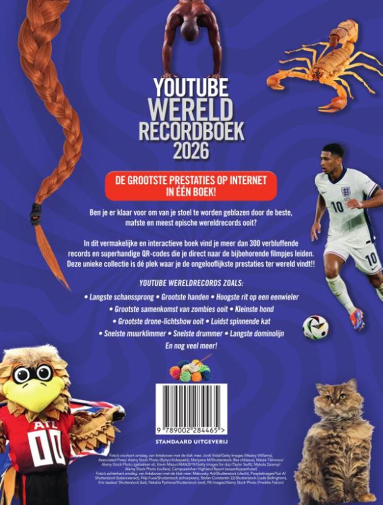 Load image into Gallery viewer, Youtube wereldrecordboek 2026 6+
