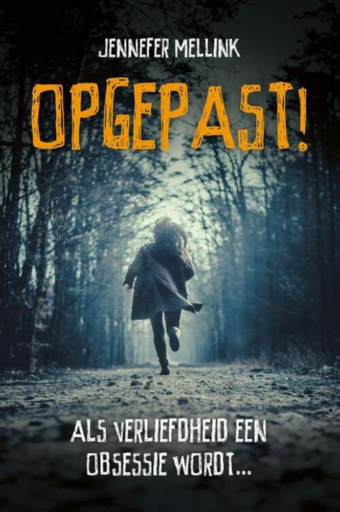 Load image into Gallery viewer, Opgepast! 13+
