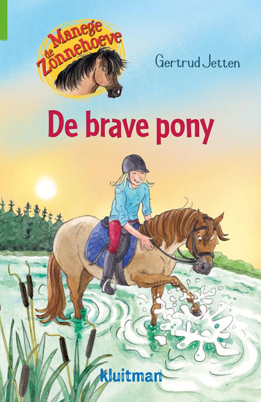 Kluitman manege de zonnehoeve. de brave pony