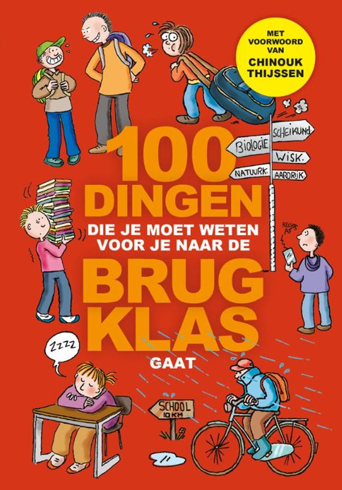 Load image into Gallery viewer, 100 dingen die je moet weten voor je naa
