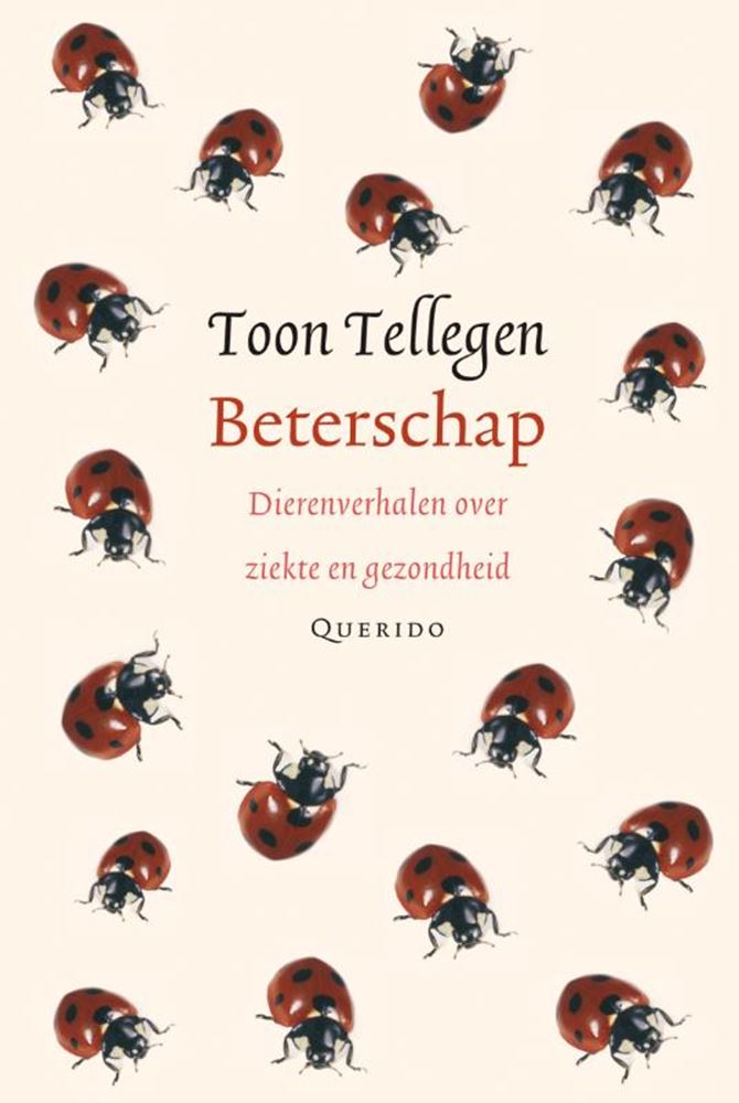 Load image into Gallery viewer, Toon tellegen: beterschap. cadeauboekje.
