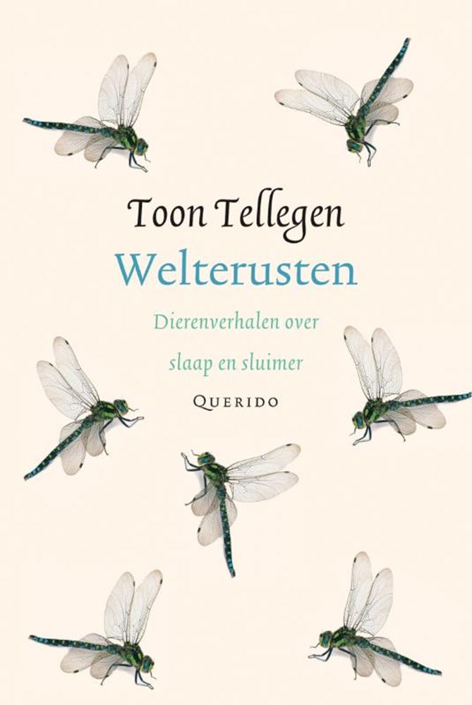 Load image into Gallery viewer, Toon tellegen: welterusten. cadeauboekje

